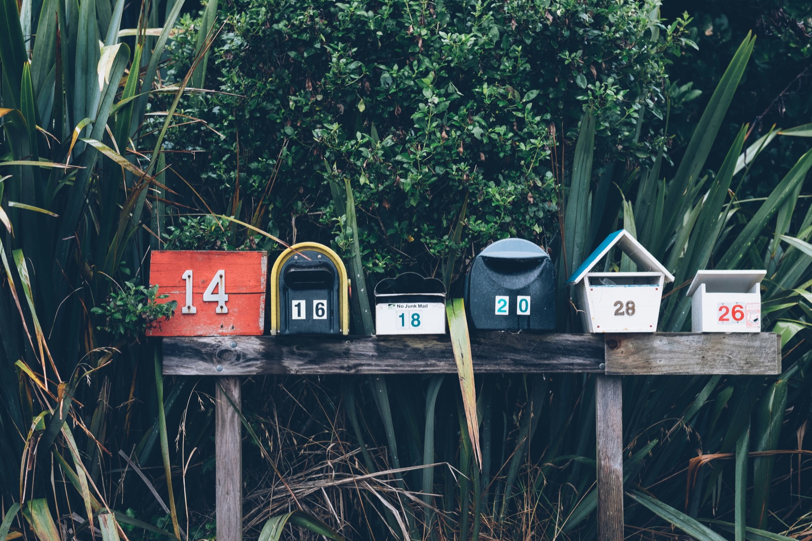Photo by Mathyas Kurmann on Unsplash
